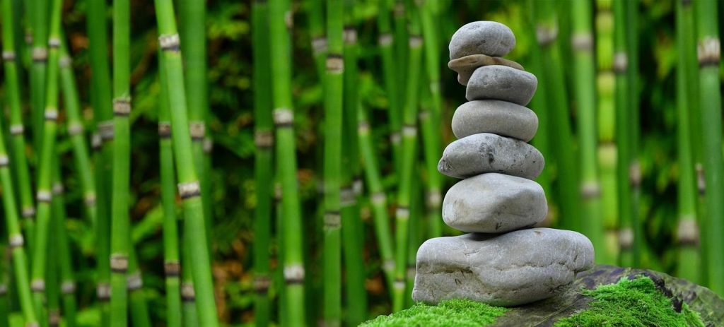Mooi aangelegde wellness tuin met rustgevende planten, comfortabele zitplaats en waterpartij voor ontspanning