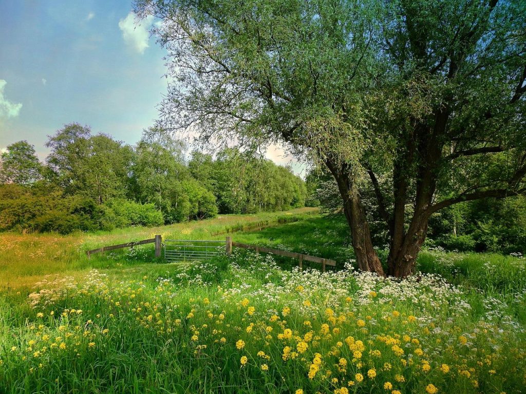 Minimalistische tiny house vakantie in Nederland met uitzicht op natuur en rustige omgeving