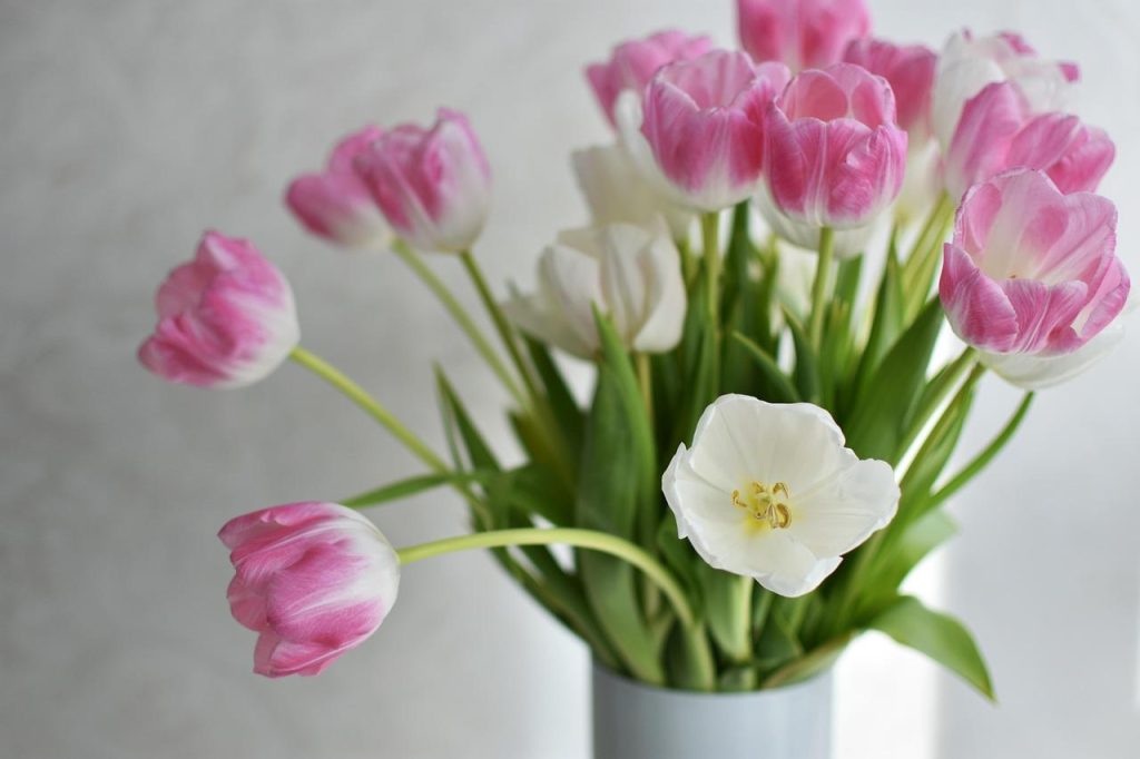 Kleurrijke seizoensgebonden bloemenboeketten online bloemen bestellen met gemak